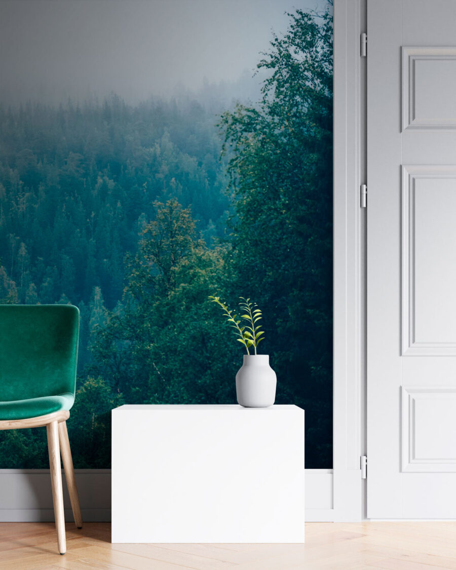 Wall murals Forest of trees with fog