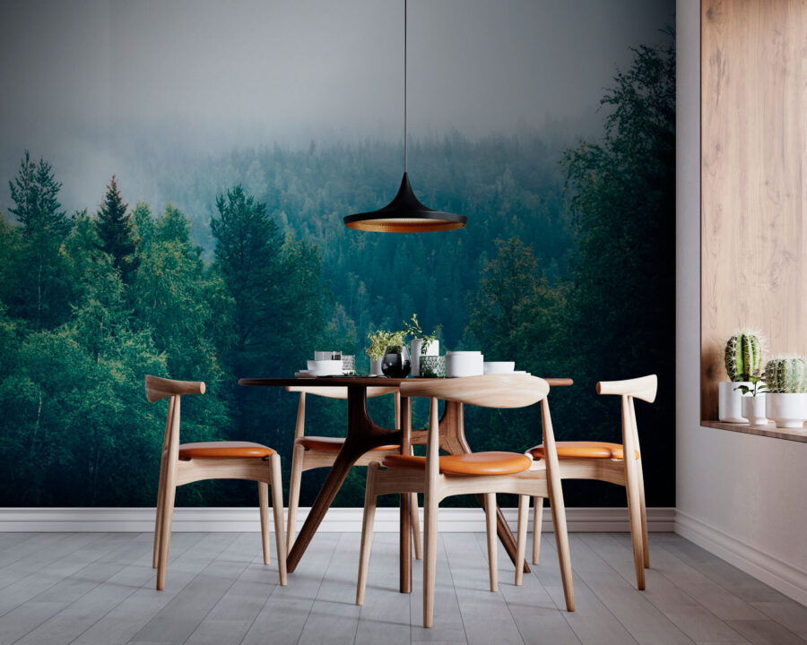 Wall murals Forest of trees with fog - Image 3