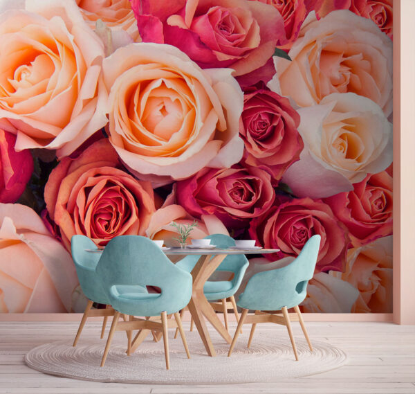 Group of pink and white roses Group of pink and white roses