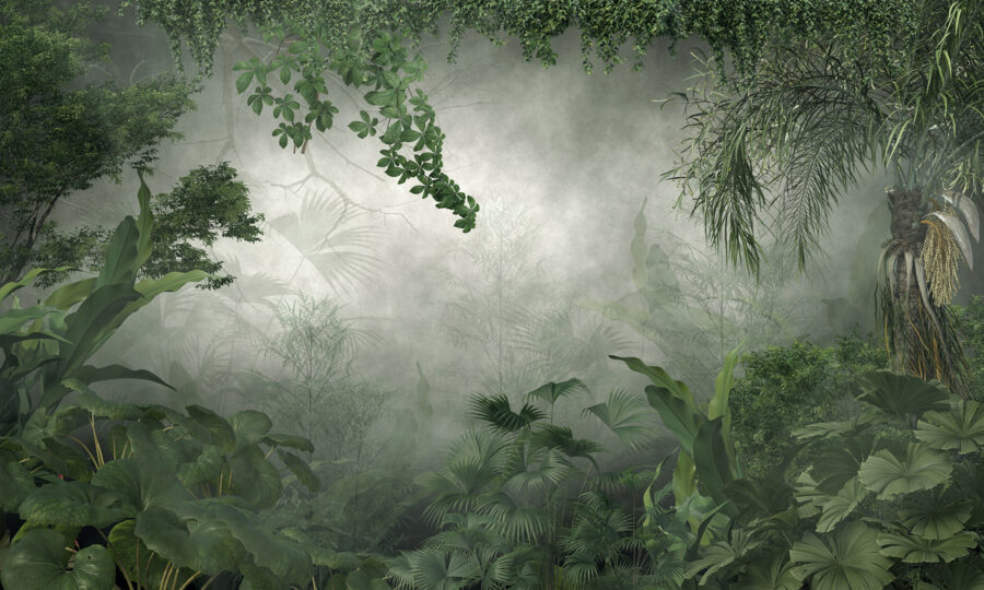 Foggy forest with plants and trees