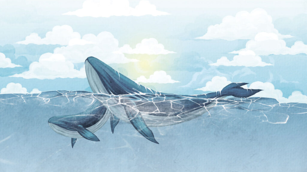 Whale swimming in the water Whale swimming in the water