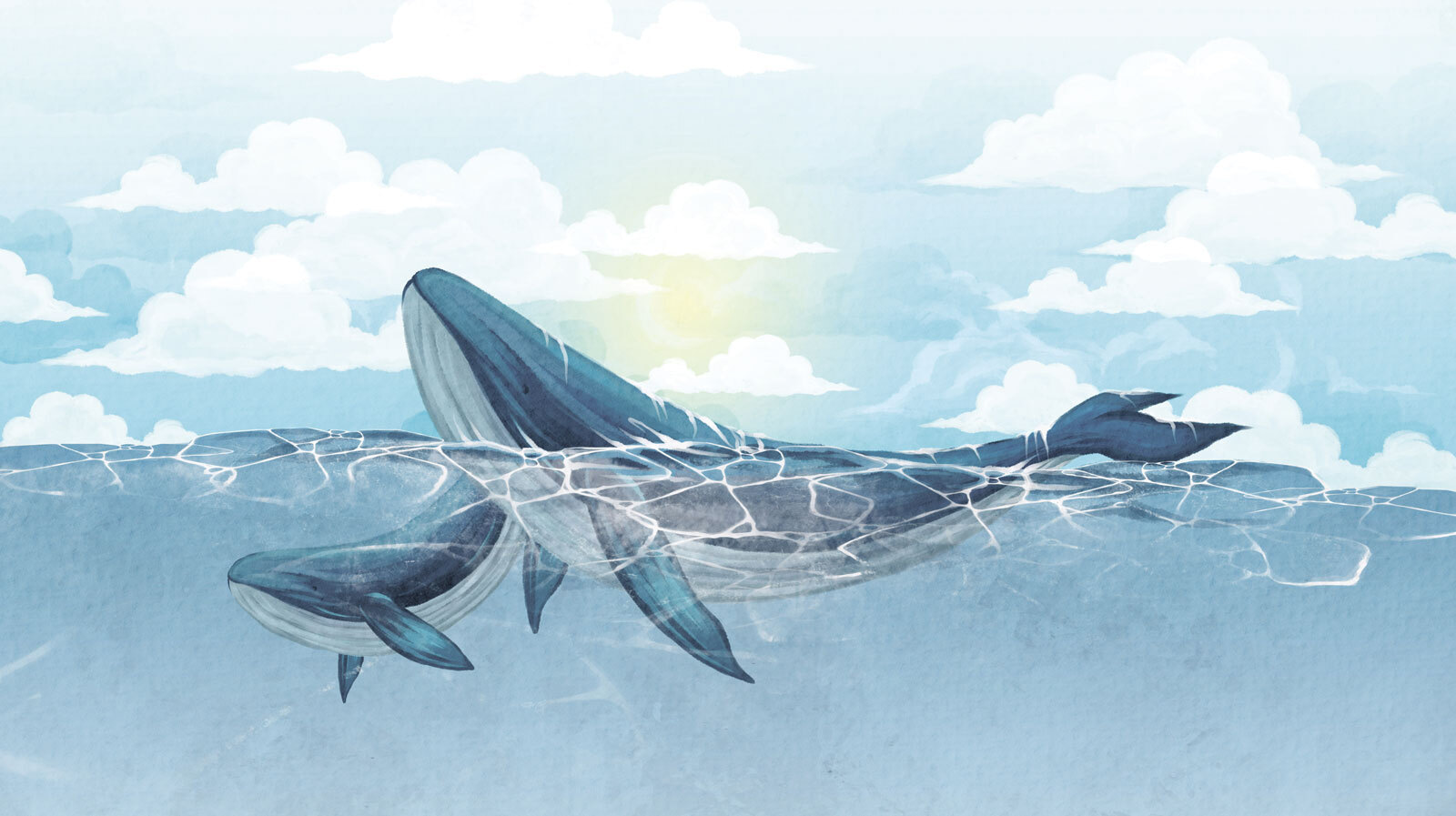 u74467p - Whale swimming in the water - tegory