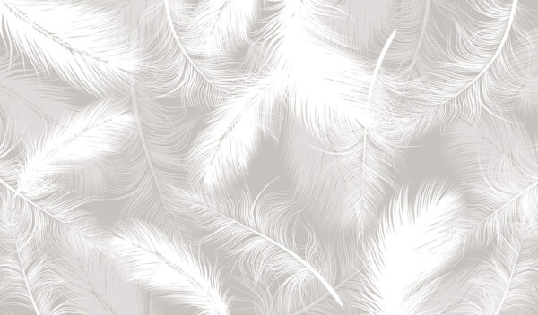 White feathers on a gray background White feathers on a gray background