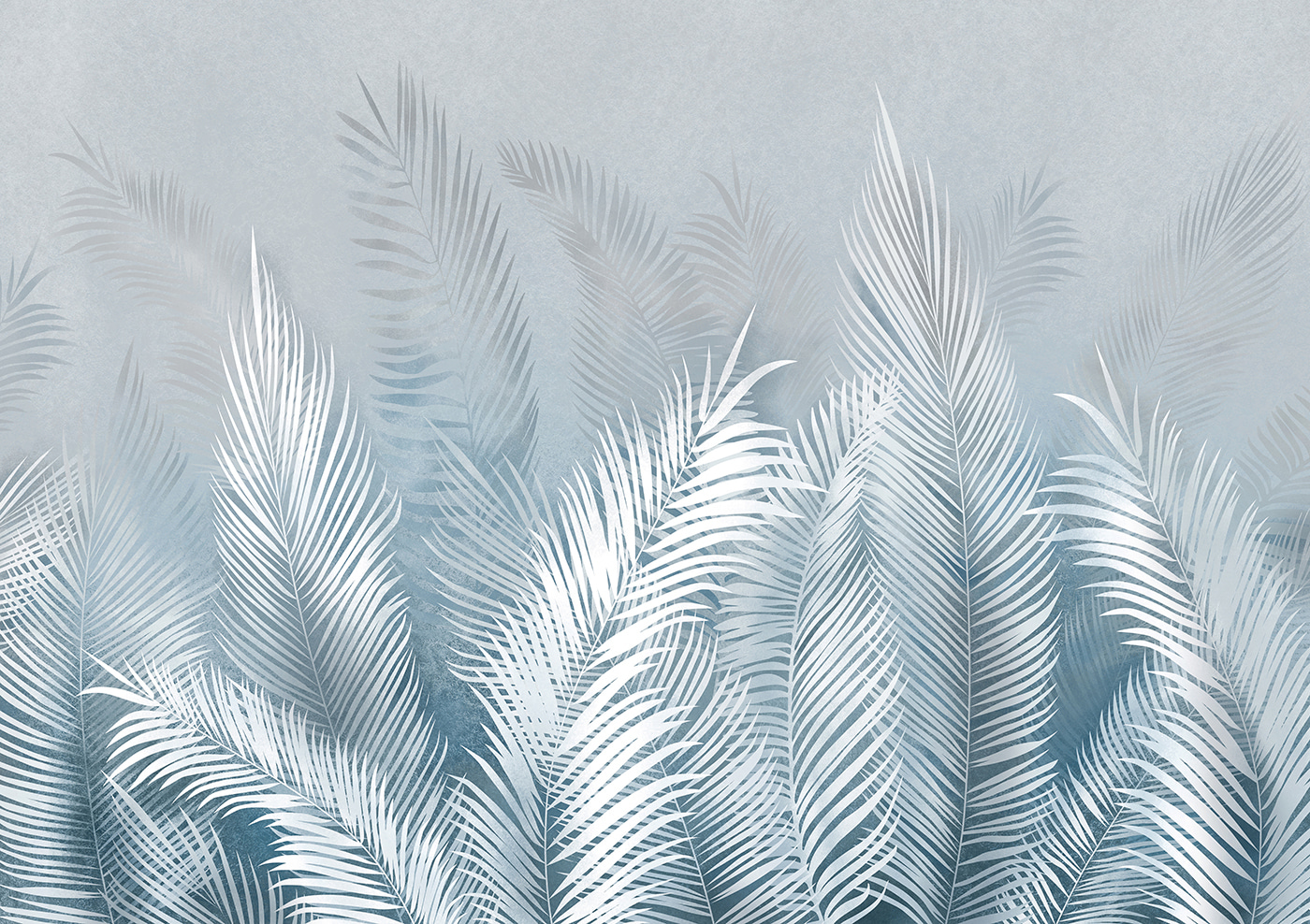 A white feathered leaves A white feathered leaves