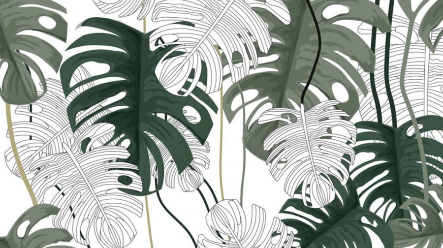 Lush green leaves in harmony u79627p 900x504 - Lush green leaves in harmony - tegory