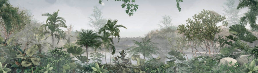 Serene morning in lush greenery