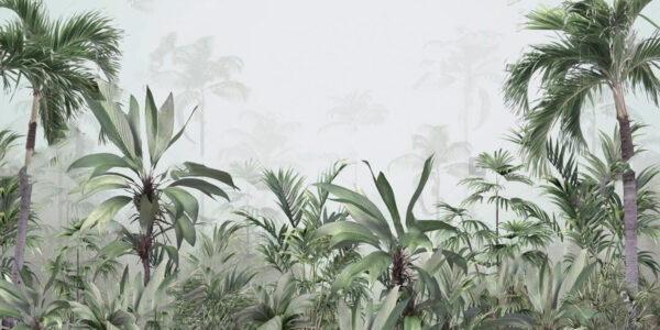 Group of plants in a foggy forest