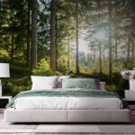 Wall murals Sun shining through trees