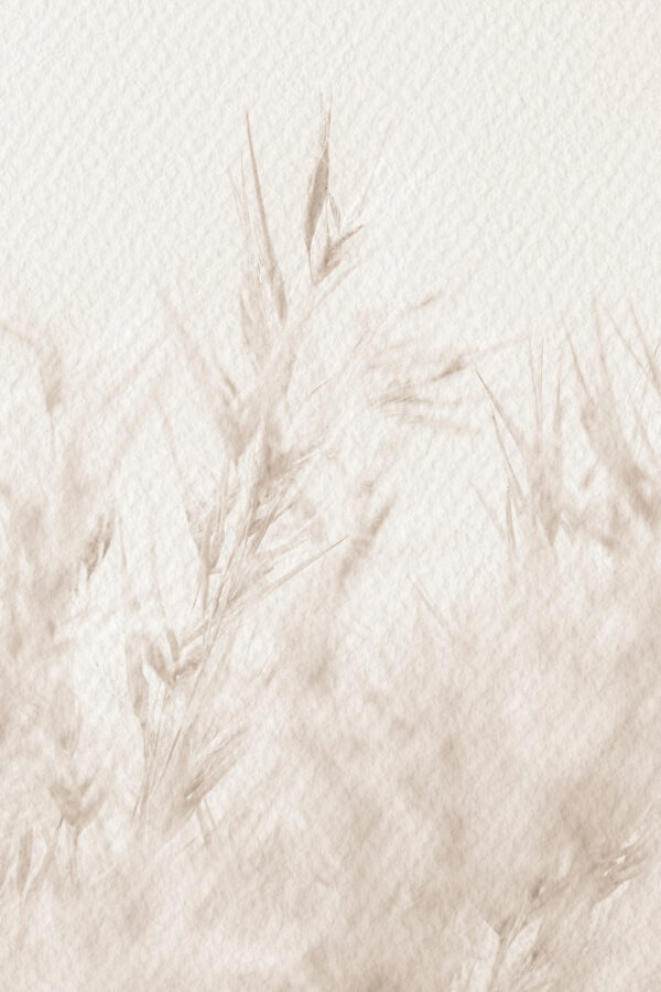 Soft nature in neutral tones. Soft nature in neutral tones.