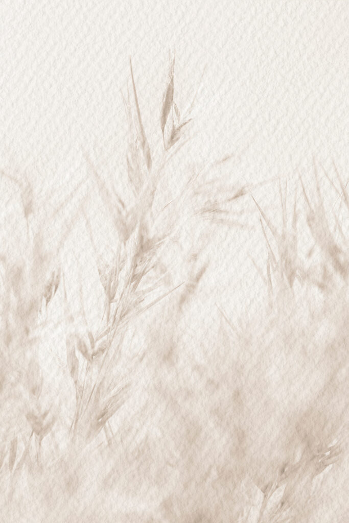 Soft nature in neutral tones. Soft nature in neutral tones.
