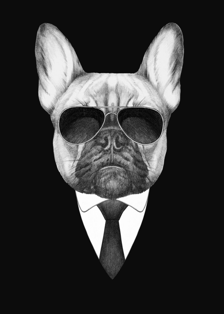 A dog wearing sunglasses and a suit A dog wearing sunglasses and a suit