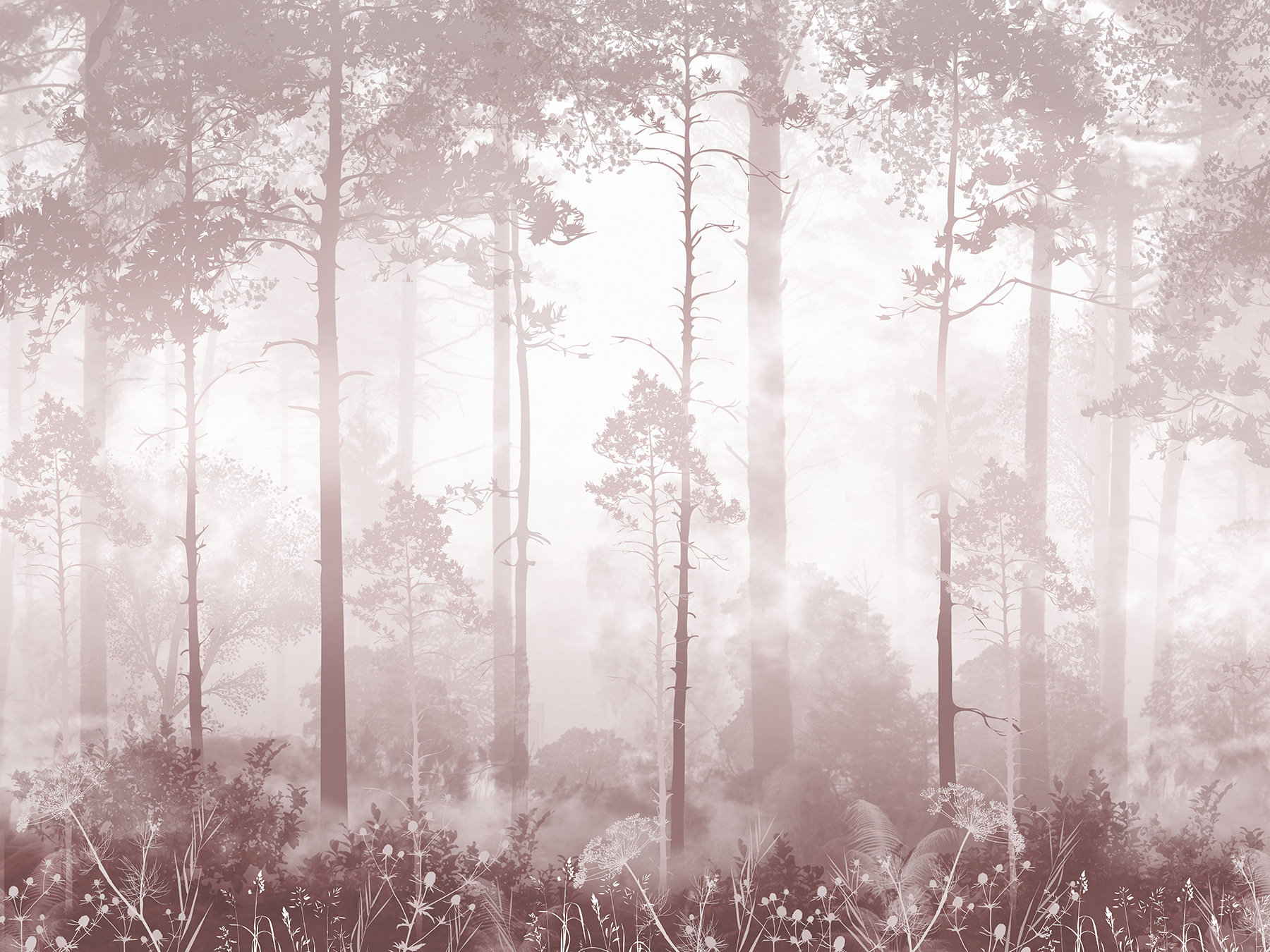 A foggy forest with tall trees A foggy forest with tall trees