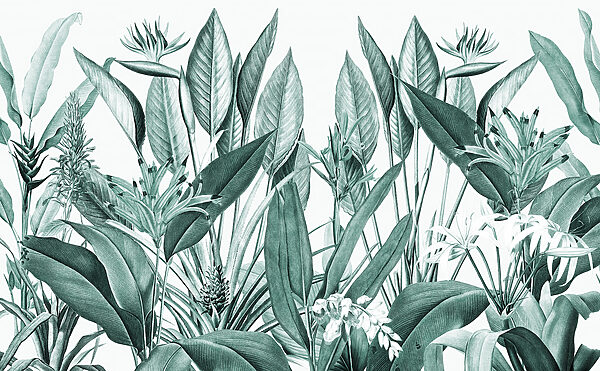 Tropical foliage in harmonious greens