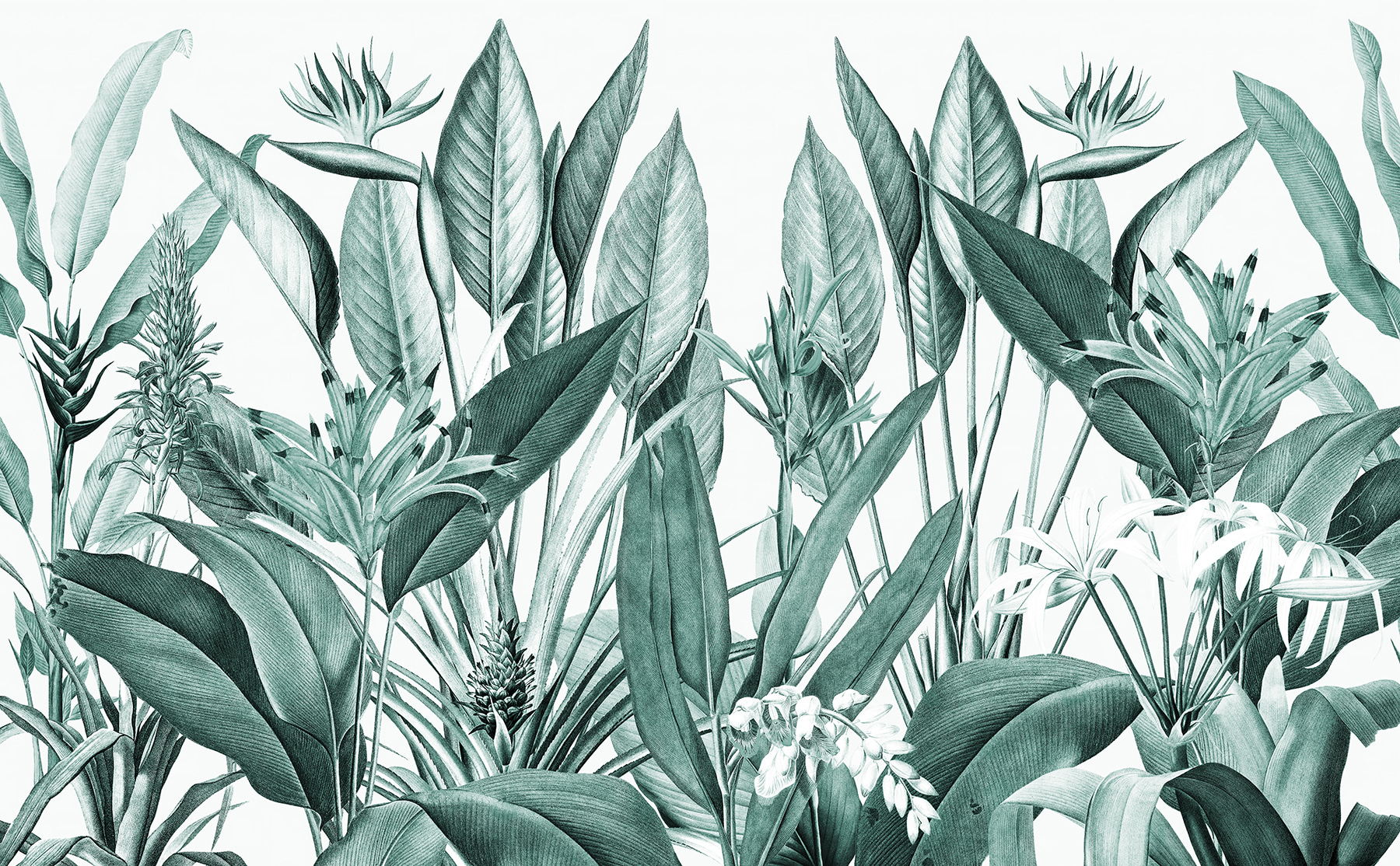 Tropical foliage in harmonious greens