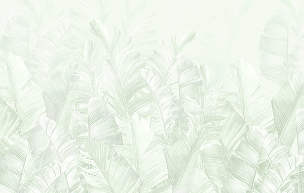 Soft green leaves in gentle layers Soft green leaves in gentle layers