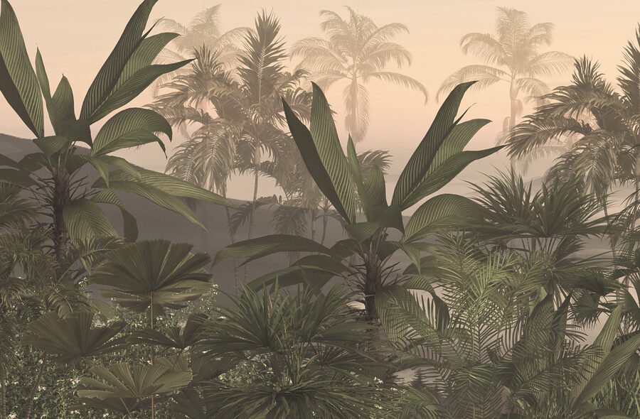 A group of palm trees in a foggy forest A group of palm trees in a foggy forest