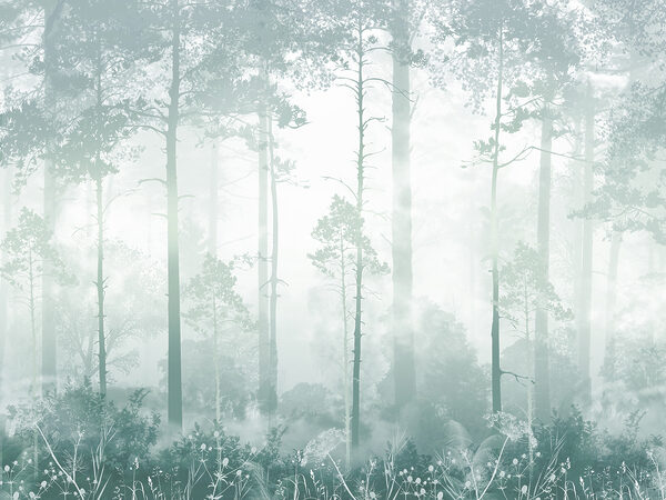 A foggy forest with tall trees