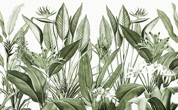 Lush greenery in delicate detail Lush greenery in delicate detail