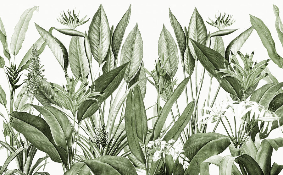Lush greenery in delicate detail