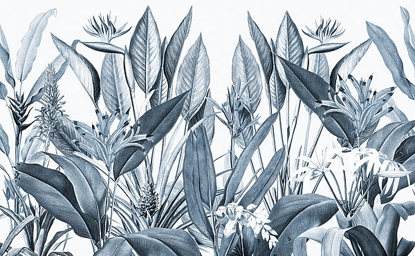 Tropical foliage in monochrome shades Tropical foliage in monochrome shades