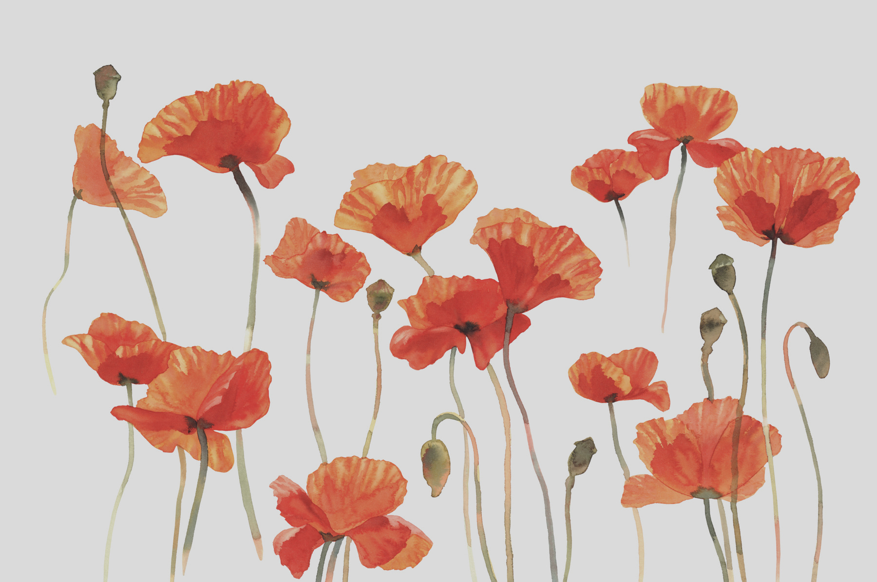 A group of orange flowers