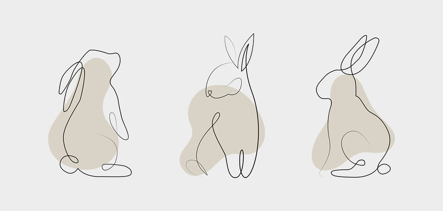 A line drawing of a rabbit