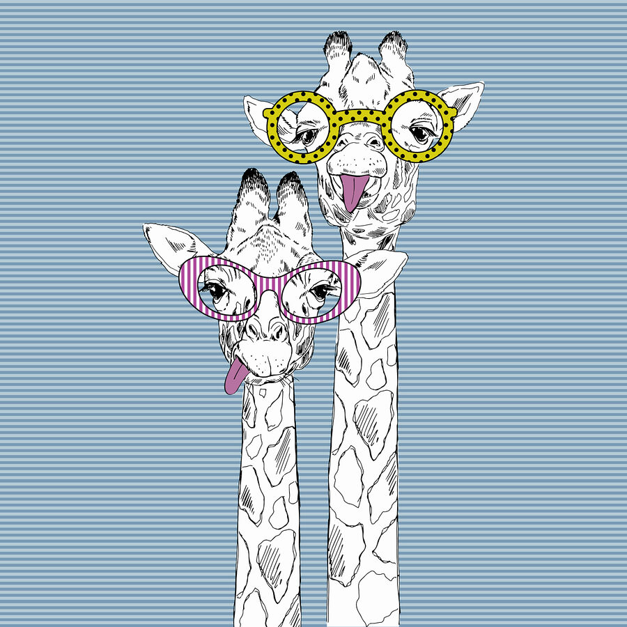 A giraffes wearing glasses