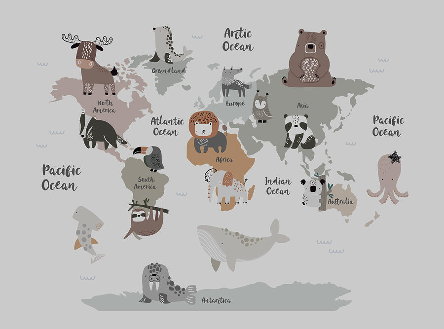 A map of animals with text