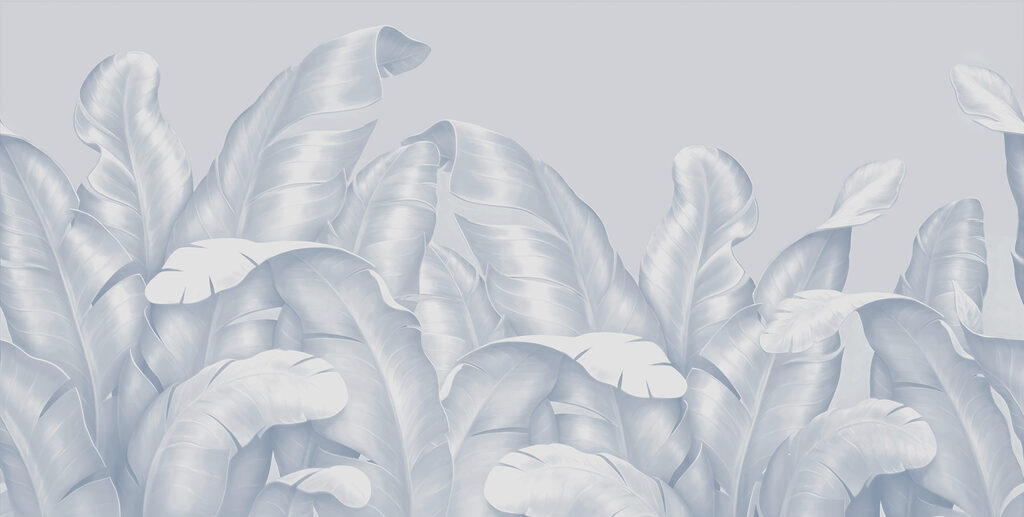 A close up of leaves A close up of leaves