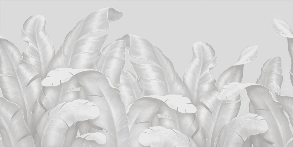 A group of white leaves A group of white leaves