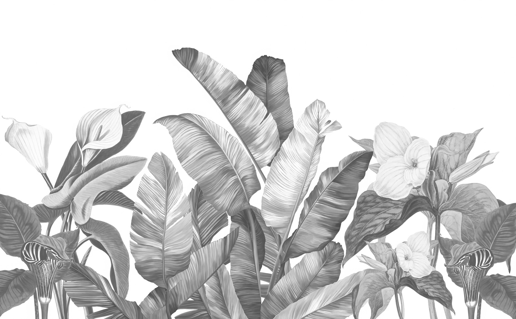 A group of tropical leaves A group of tropical leaves