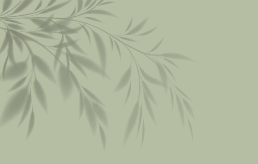 Wall murals A shadow of a plant on a wall - Image 4