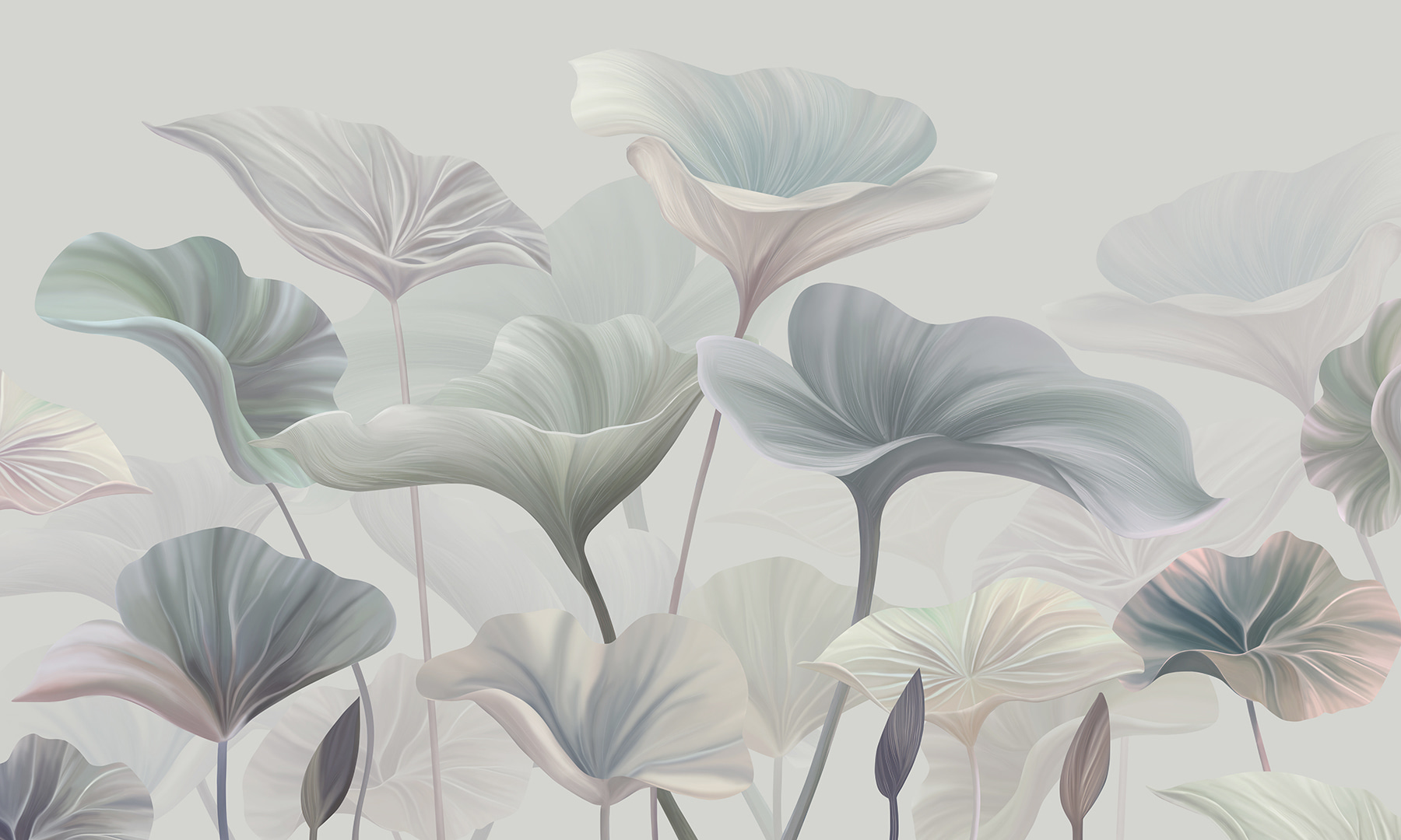 A close up of a plant