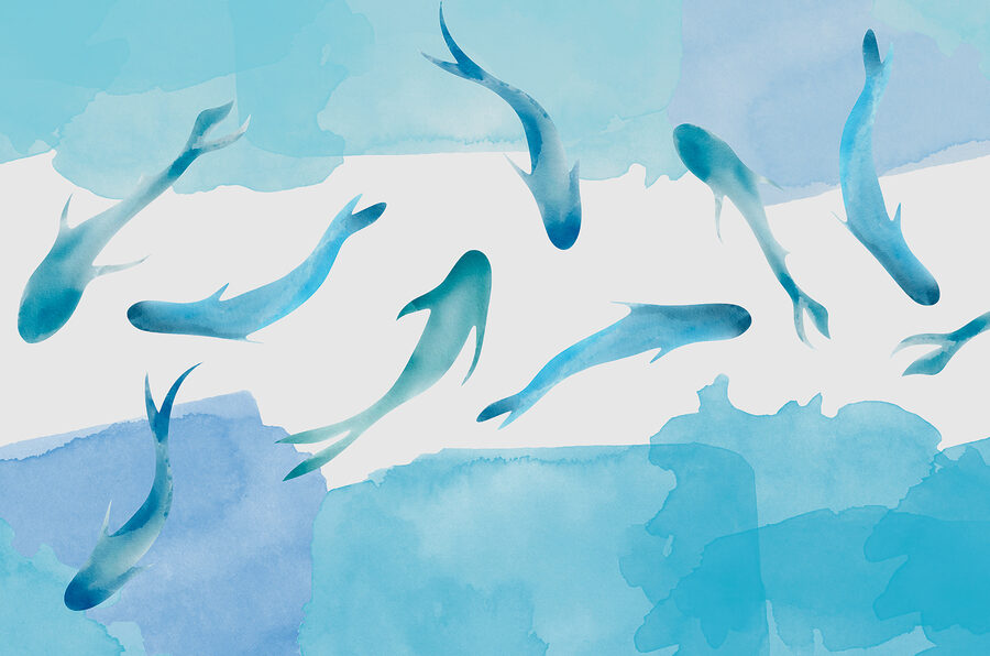 Wall murals A group of blue fish swimming in water - Image 4