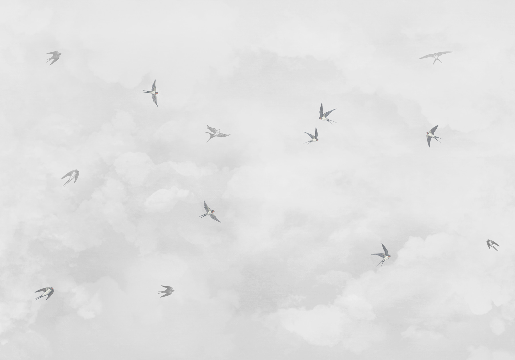 w00526v1p - A group of birds flying in the sky - tegory