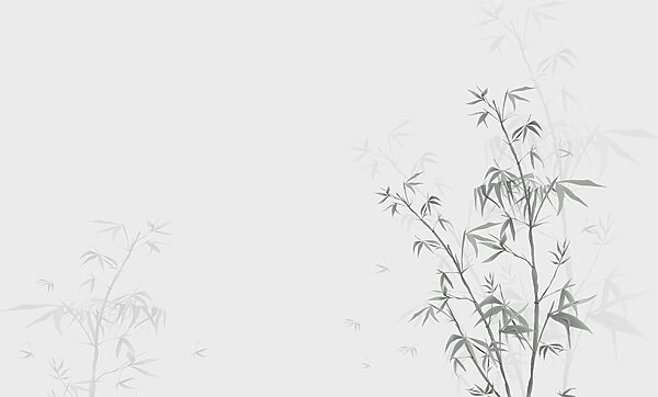 A plant with leaves on it w00546v1p 600x362 - A plant with leaves on it - tegory