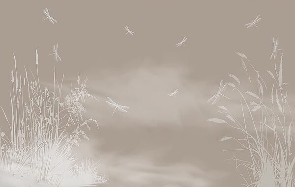 A dragonflies flying in the sky