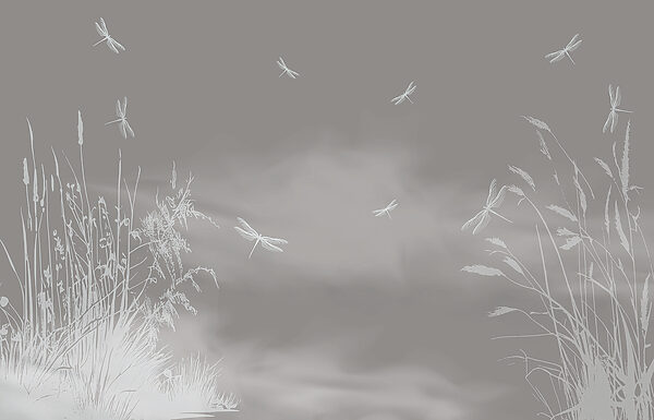 A dragonflies flying in the sky A dragonflies flying in the sky