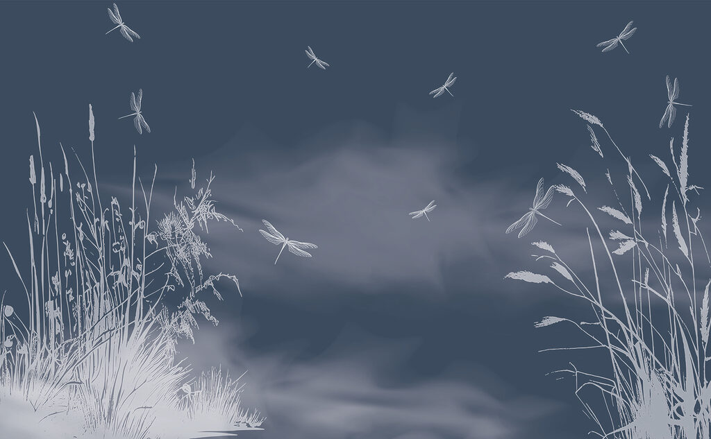 Dragonflies flying in the sky Dragonflies flying in the sky