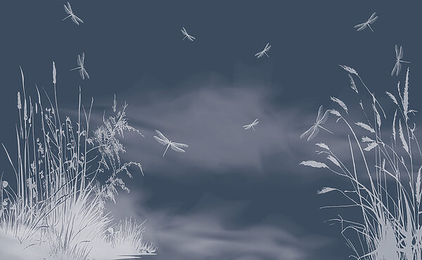 Dragonflies flying in the sky Dragonflies flying in the sky