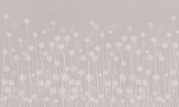 A white flowers on a gray background A white flowers on a gray background