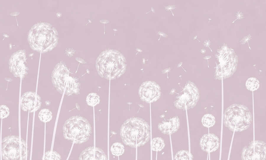 A white dandelions flying in the air w00657v1p 900x540 - A white dandelions flying in the air - tegory