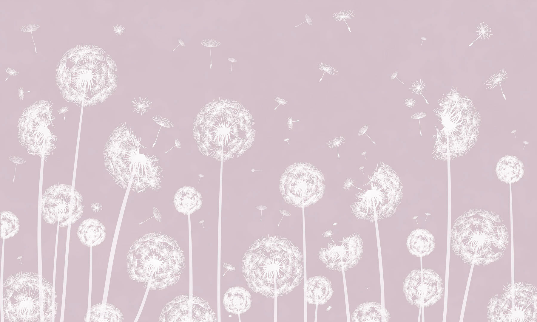 w00657v1p - A white dandelions flying in the air - tegory