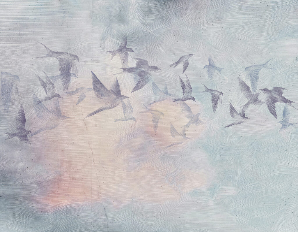 A flock of birds flying in the sky