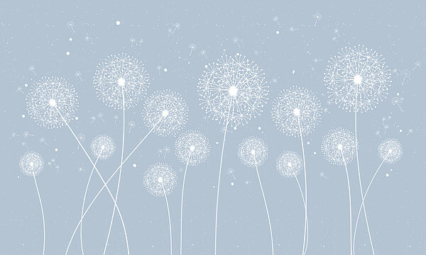 A white dandelions on a blue background A white dandelions on a blue background