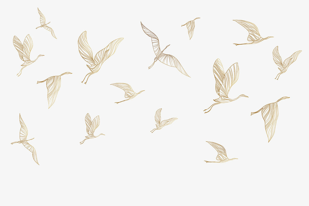 A group of birds flying A group of birds flying