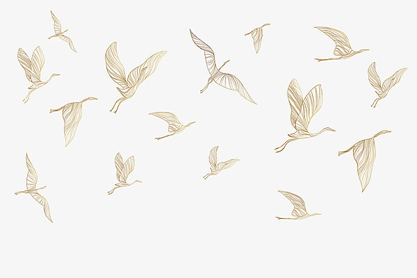 A group of birds flying A group of birds flying