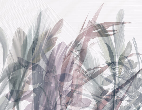 A close up of leaves