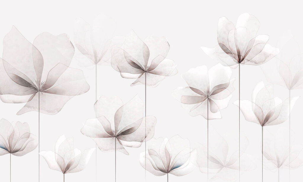 A group of white flowers A group of white flowers
