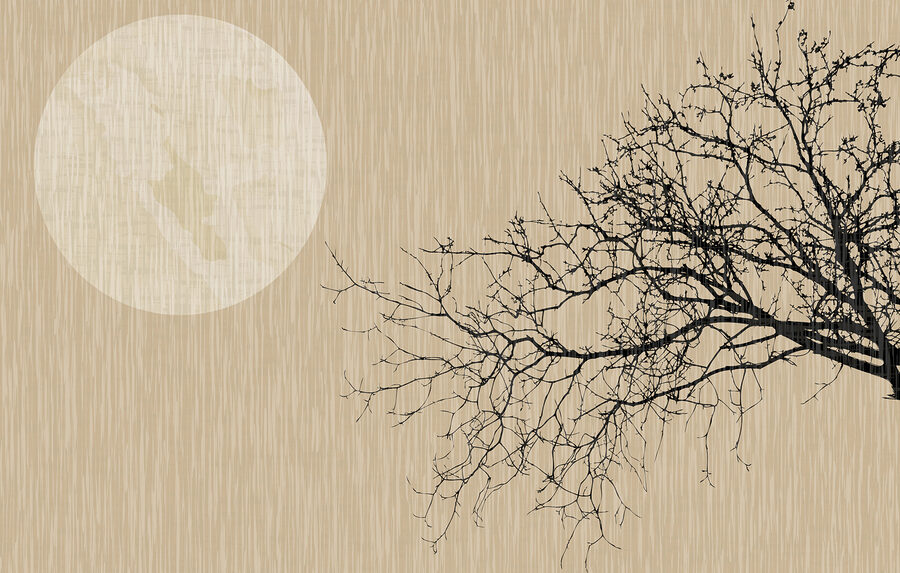 Wall murals A tree with no leaves - Image 3